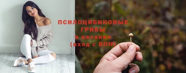 spice Лихославль