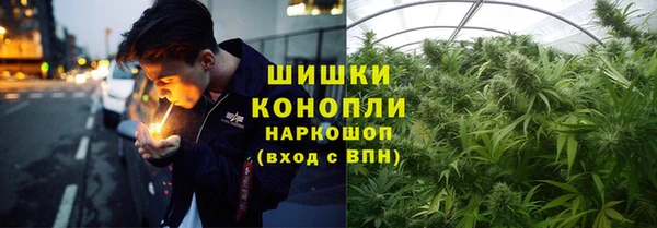 ешки Липки