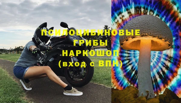 ешки Липки